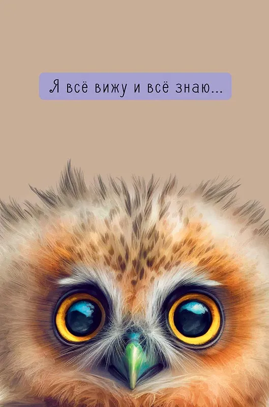 product-photo