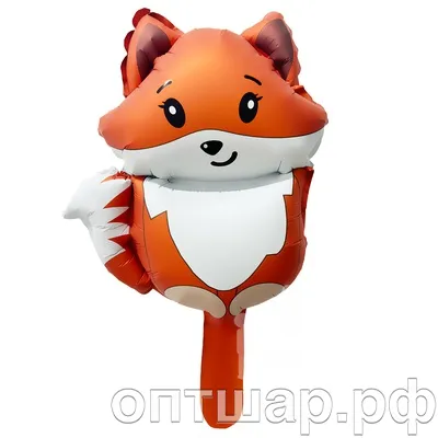 product-photo