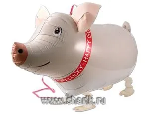 product-photo