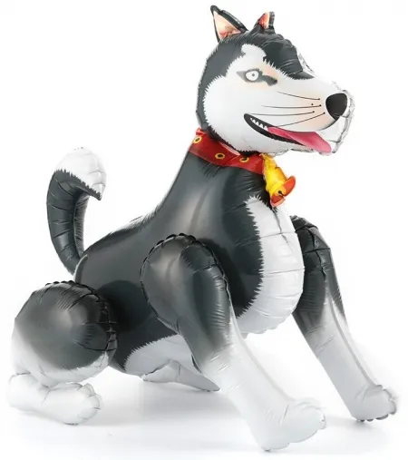 product-photo