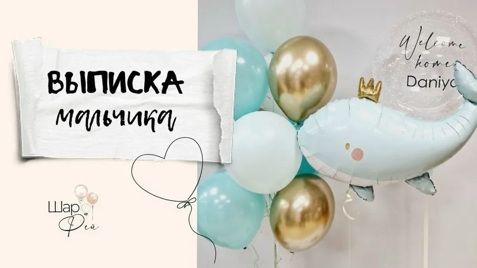 Выписка Мальчика